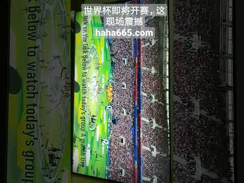 女子足球世,界杯,中国赛事概,开云体育,开云体育官网,开云体育app,开云体育app下载