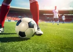 凤凰浴火,逆袭澳超,历史交锋三,开云体育,开云体育官网,开云体育app,开云体育app下载